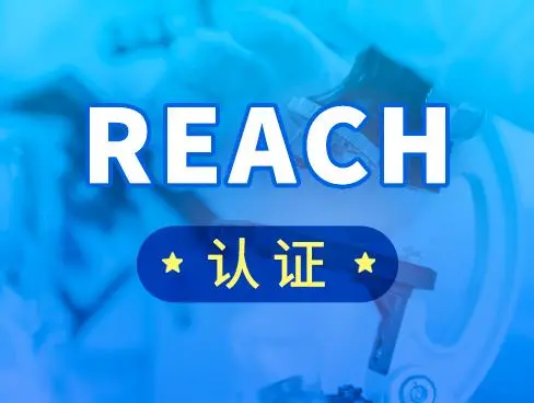 REACH是什么意思？